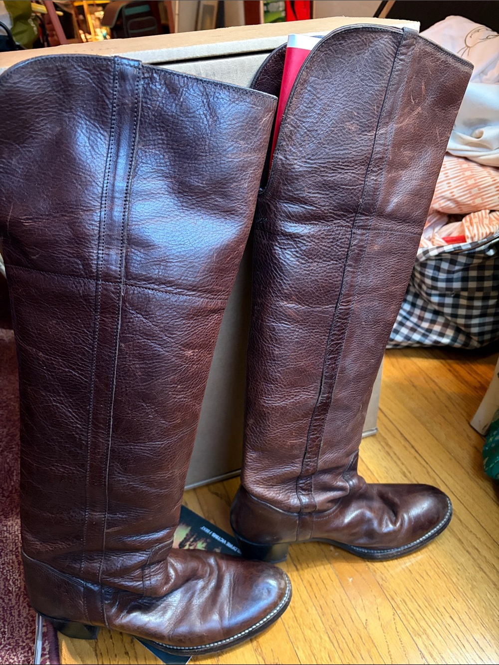 Frye Women's Tall Leather Heeled Riding Boots - Dark Brown